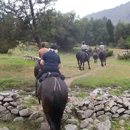 Les Feiches Et Marguerites * Ignaux