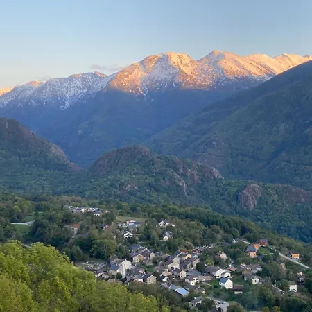 Les Feiches Et Marguerites *