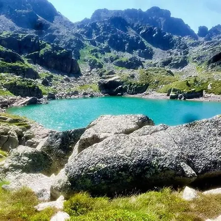 Les Feiches Et Marguerites Holiday home *