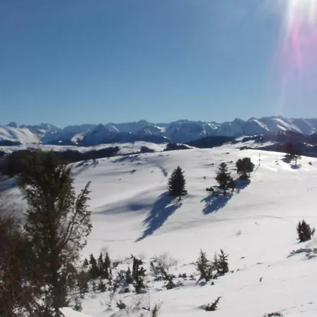 Les Feiches Et Marguerites Ignaux