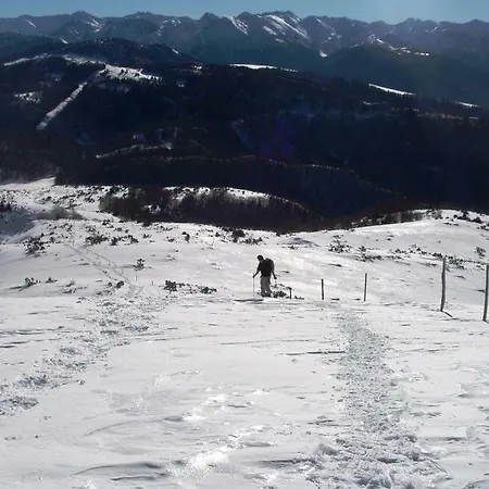 Les Feiches Et Marguerites * Ignaux