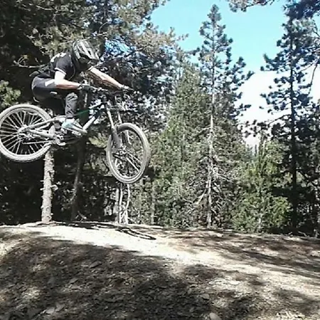 Les Feiches Et Marguerites * Ignaux