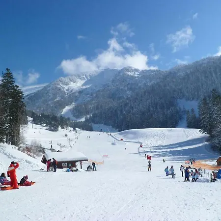 Les Feiches Et Marguerites