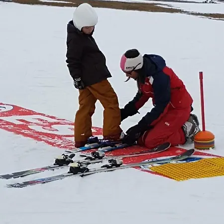 Les Feiches Et Marguerites *