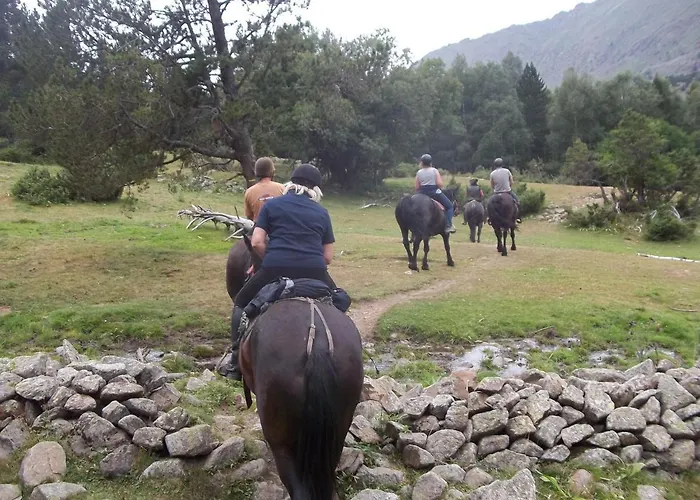Les Feiches Et Marguerites * Ignaux