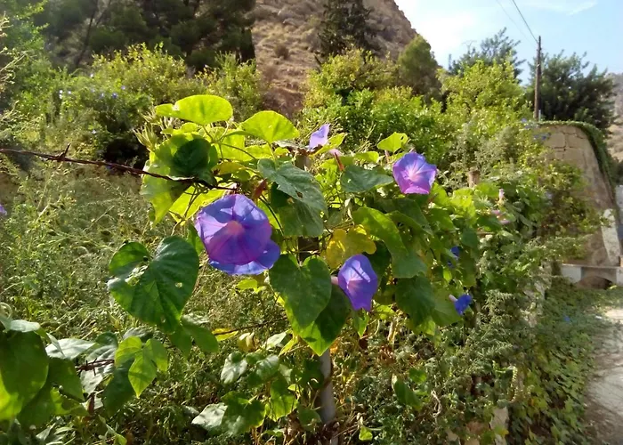 Les Feiches Et Marguerites 度假居