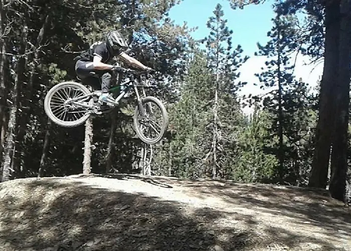 Les Feiches Et Marguerites * Ignaux