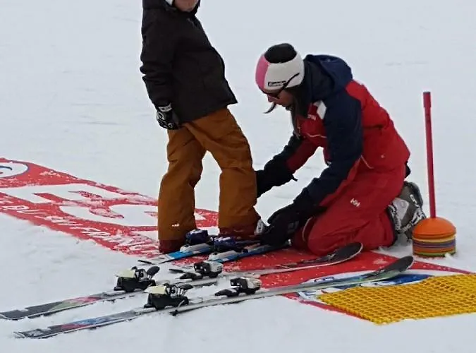 Les Feiches Et Marguerites *