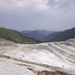 Les Feiches Et Marguerites Ignaux
