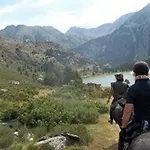 Les Feiches Et Marguerites Nyaraló Ignaux