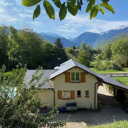 Les Feiches Et Marguerites Ignaux