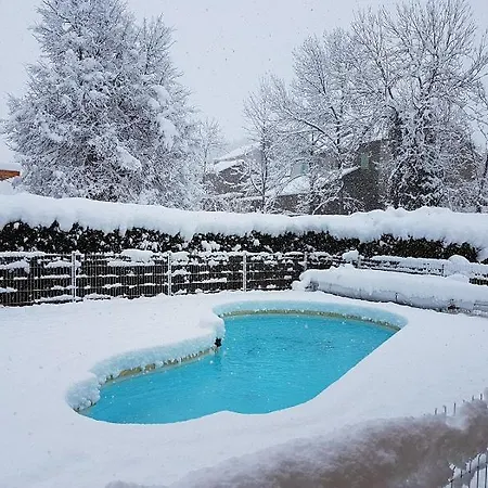 Les Feiches Et Marguerites Ignaux