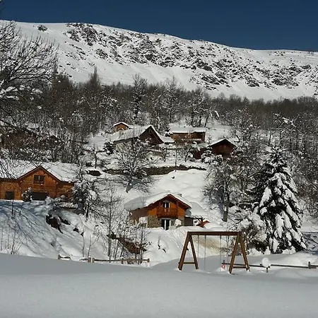 Les Feiches Et Marguerites *