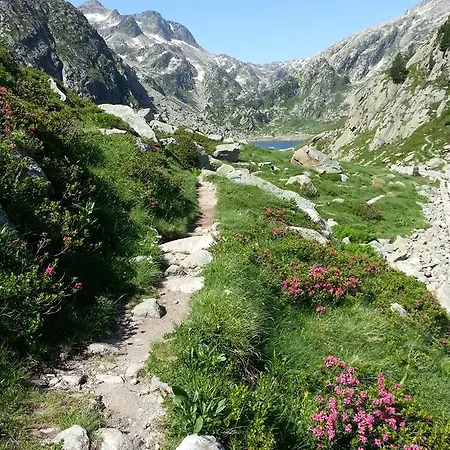 Les Feiches Et Marguerites * Ignaux