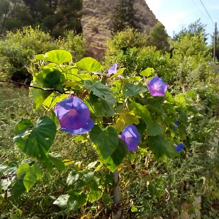 Les Feiches Et Marguerites Сasa de vacaciones