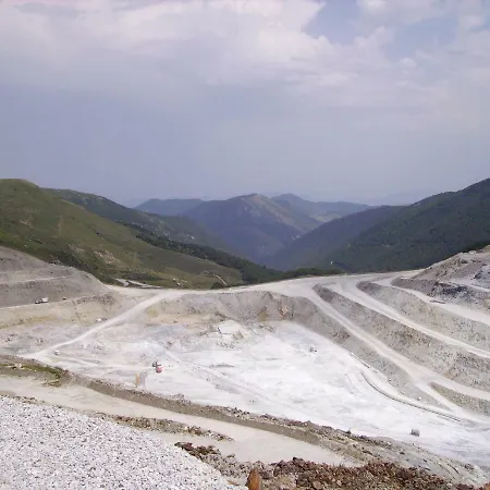 Les Feiches Et Marguerites Ignaux