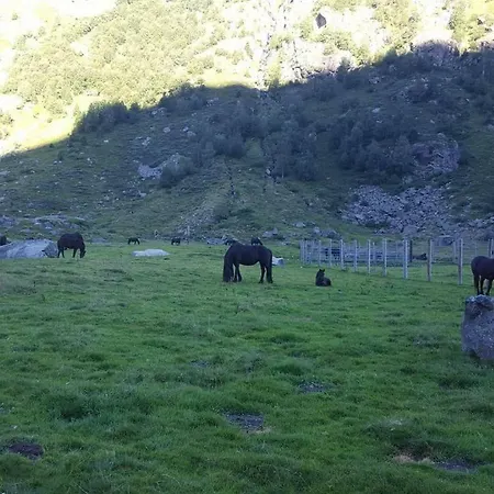 Les Feiches Et Marguerites Сasa de vacaciones