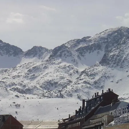 Les Feiches Et Marguerites *