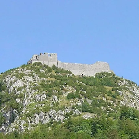 Les Feiches Et Marguerites *