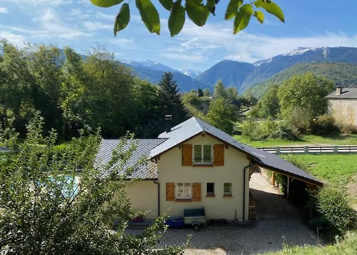 Les Feiches Et Marguerites Ignaux