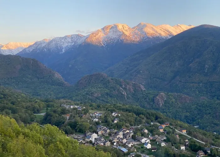 Les Feiches Et Marguerites *
