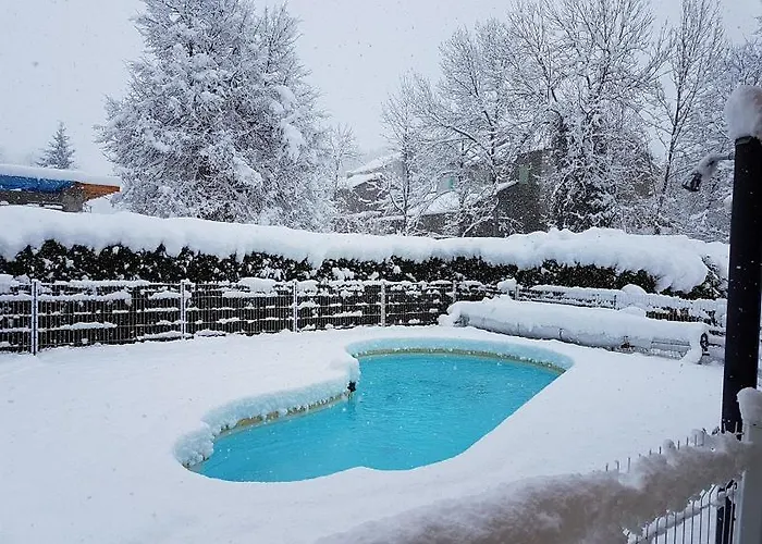 Les Feiches Et Marguerites Ignaux