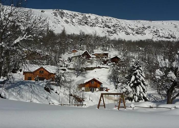 Les Feiches Et Marguerites *