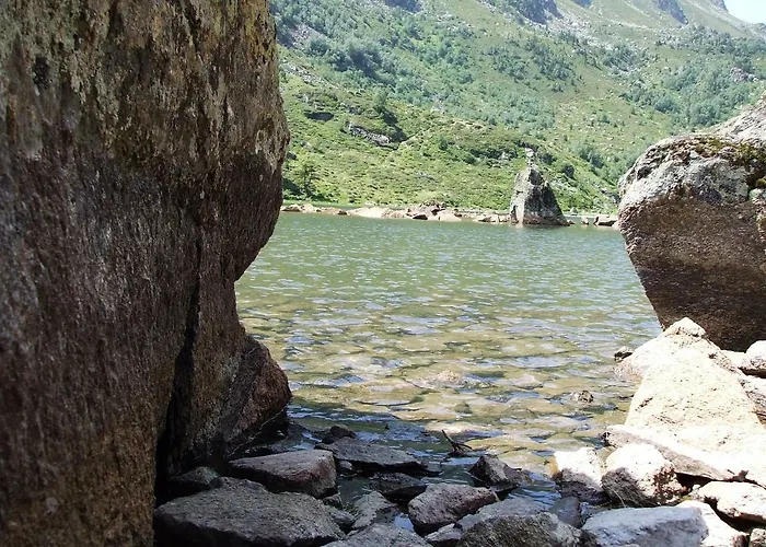 Ferienhaus Les Feiches Et Marguerites *