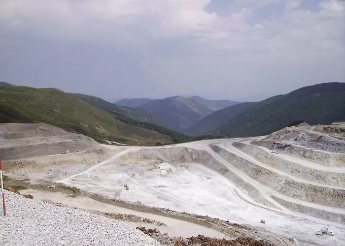 Les Feiches Et Marguerites Ignaux