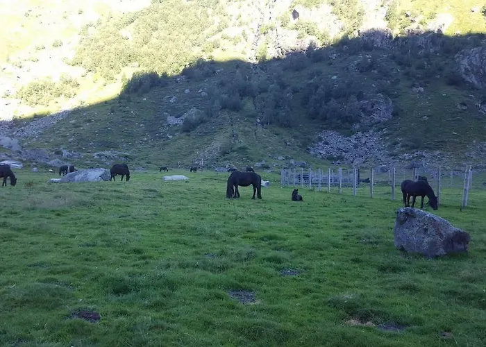 Les Feiches Et Marguerites 펜션