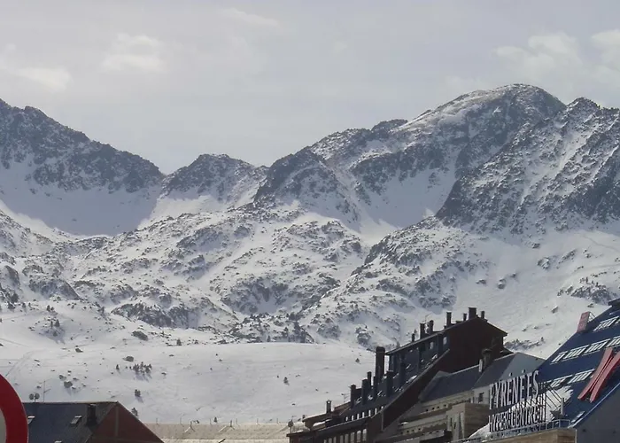 Les Feiches Et Marguerites *