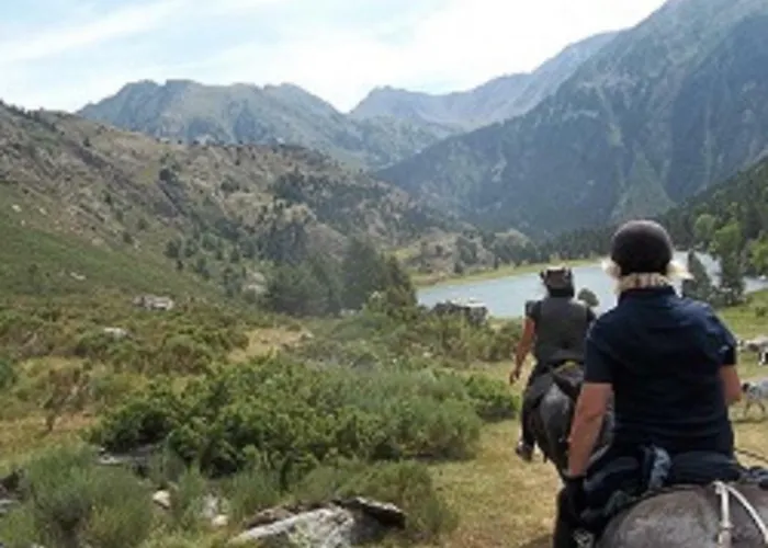 Les Feiches Et Marguerites Ferienhaus Ignaux