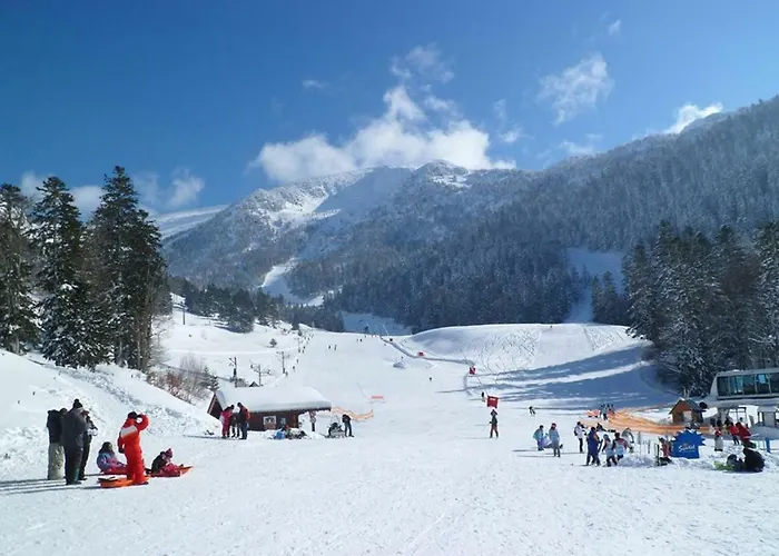 Les Feiches Et Marguerites